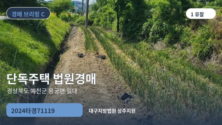 경상북도 예천군 용궁면 일대 단독주택 법원경매 | 2024타경71119