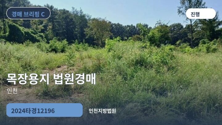 인천 목장용지 법원경매 | 2024타경12196