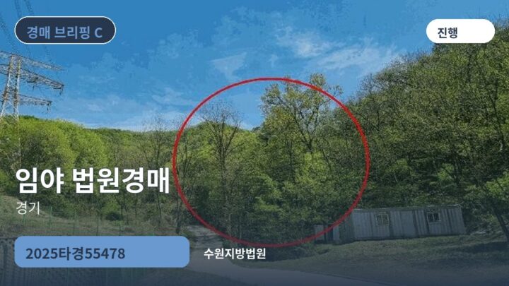 경기 임야 법원경매 | 2025타경55478