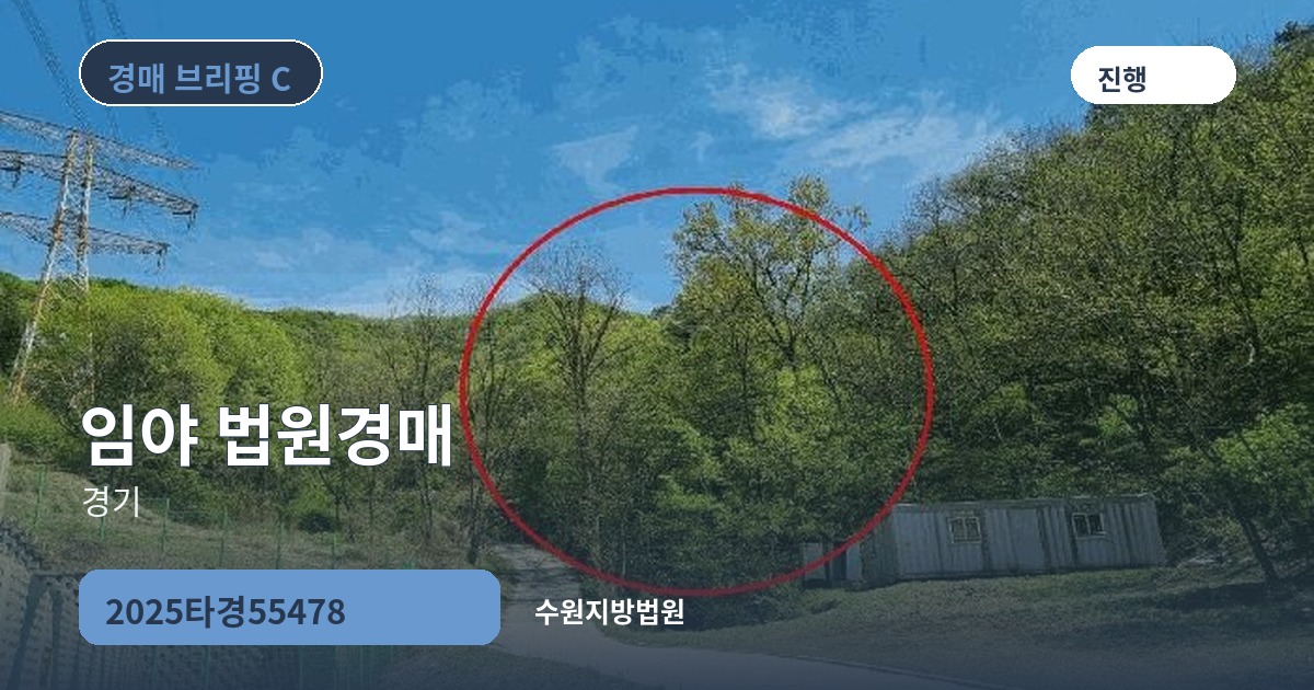 수원지방법원 2025타경55478 임야 경매 대표 이미지