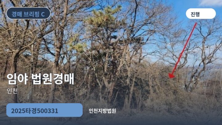 인천 임야 법원경매 | 2025타경500331