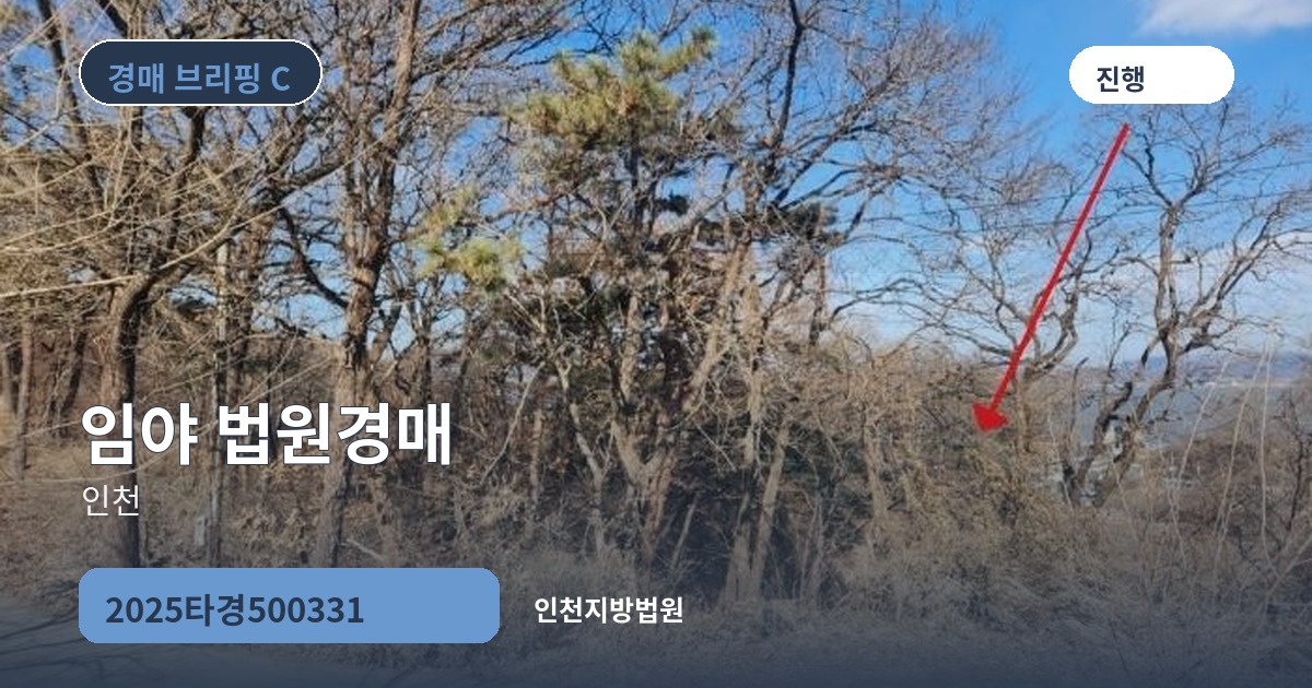 인천지방법원 2025타경500331 임야 경매 대표 이미지