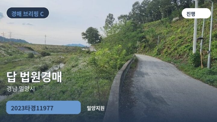 경남 밀양시 답 법원경매 | 2023타경11977
