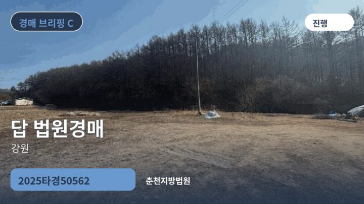 강원 답 법원경매 | 2025타경50562