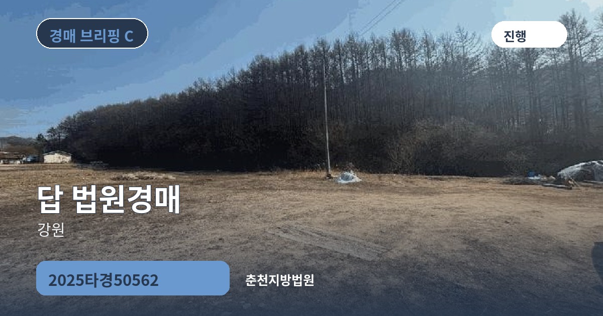 춘천지방법원 2025타경50562 답 경매 대표 이미지
