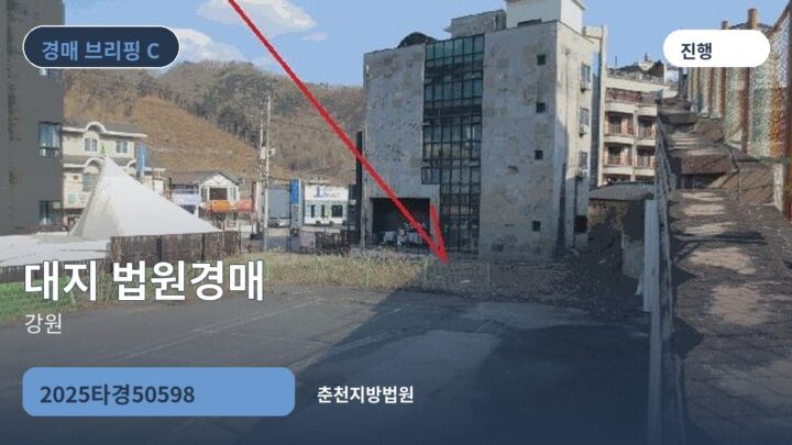 강원 대지 법원경매 | 2025타경50598