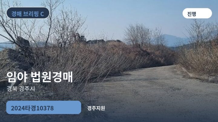 경북 경주시 임야 법원경매 | 2024타경10378