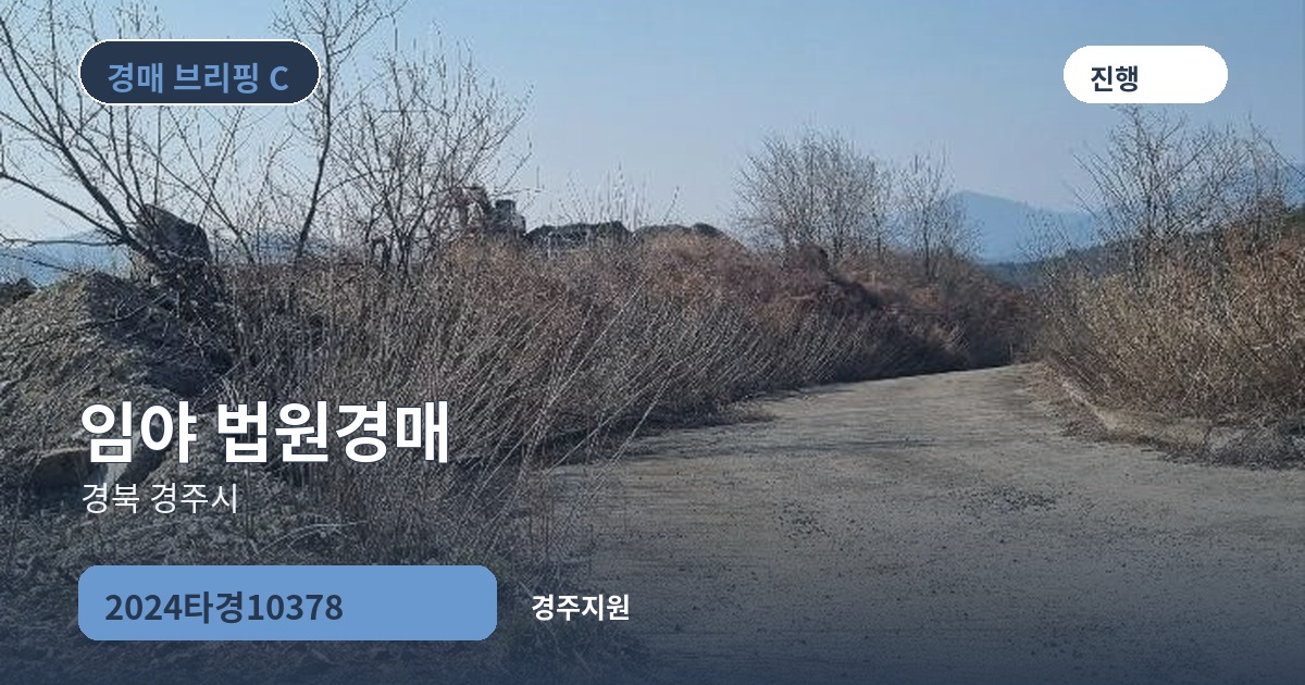 경주지원 2024타경10378 임야 경매 대표 이미지