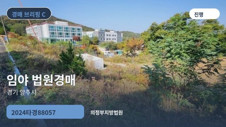 경기 양주시 임야 법원경매 | 2024타경88057