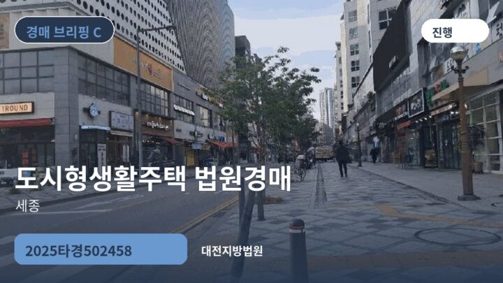 세종 도시형생활주택 법원경매 | 2025타경502458