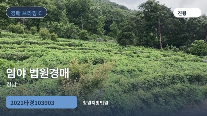 경남 임야 법원경매 | 2021타경103903