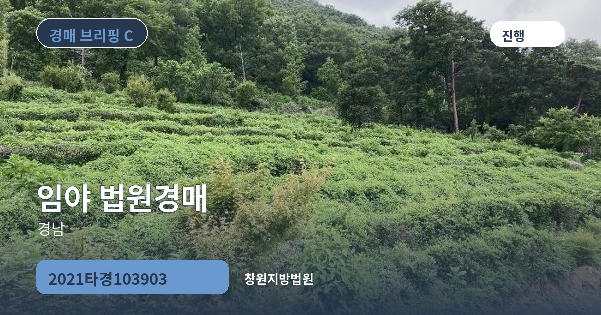 창원지방법원 2021타경103903 임야 경매 대표 이미지
