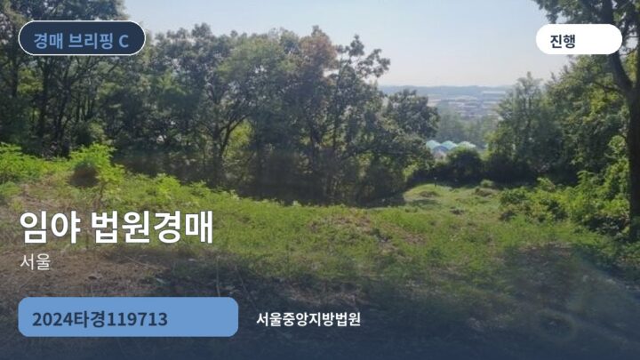 서울 임야 법원경매 | 2024타경119713