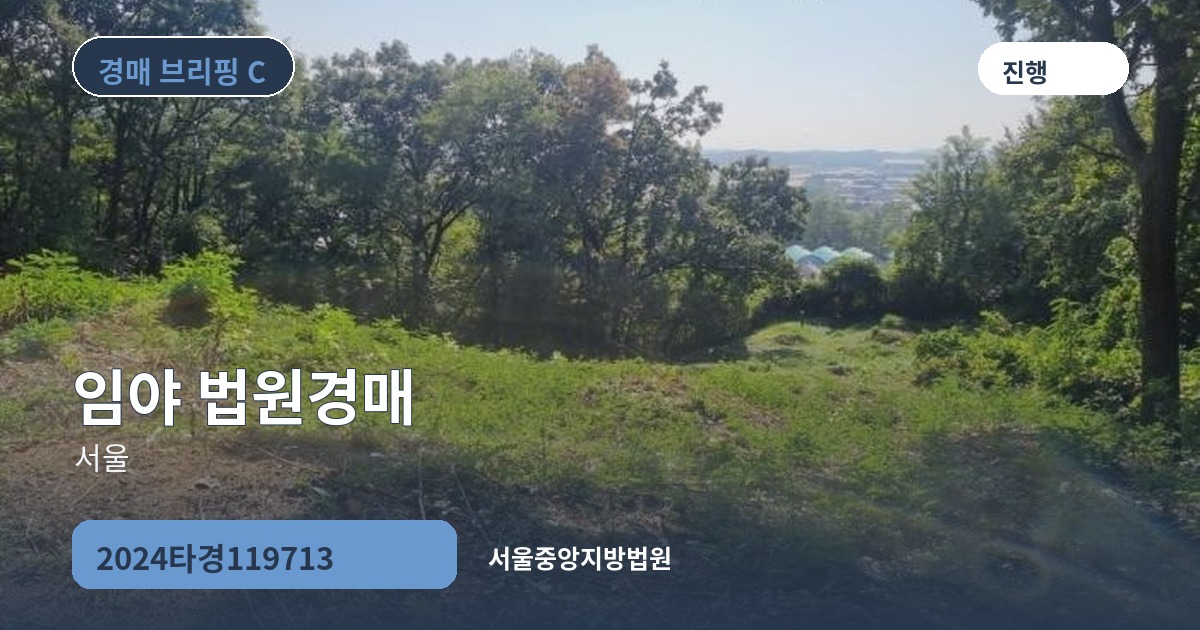 서울중앙지방법원 2024타경119713 임야 경매 대표 이미지