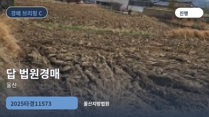 울산 답 법원경매 | 2025타경11573