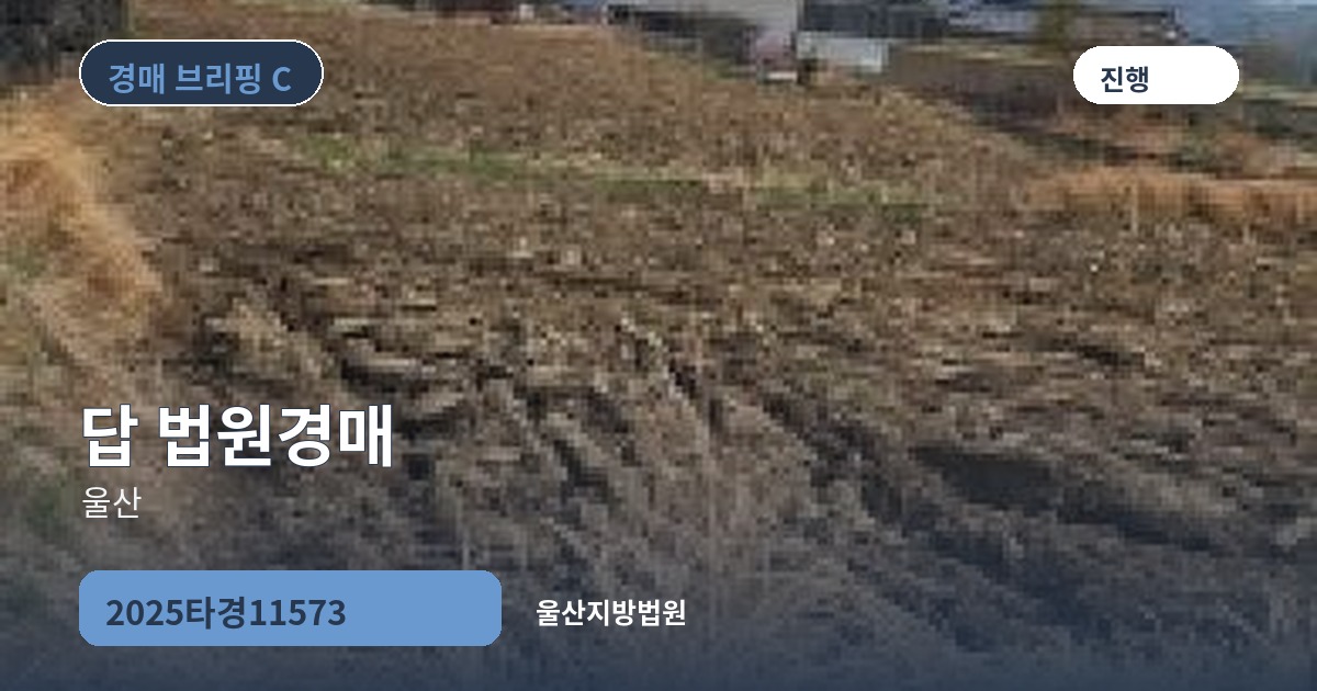 울산지방법원 2025타경11573 답 경매 대표 이미지