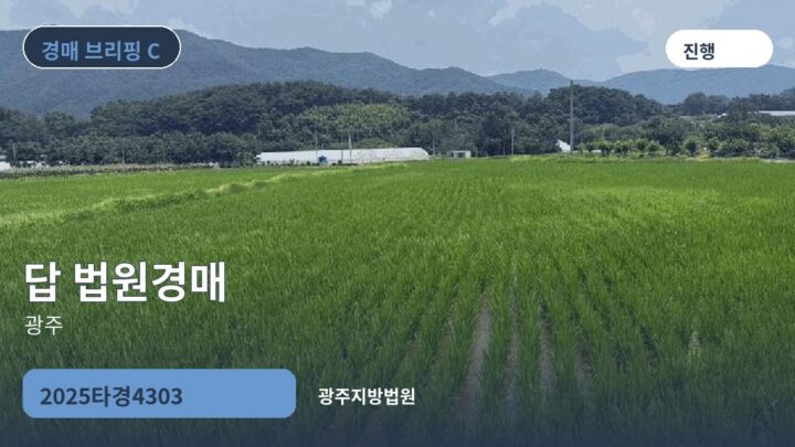 광주 답 법원경매 | 2025타경4303