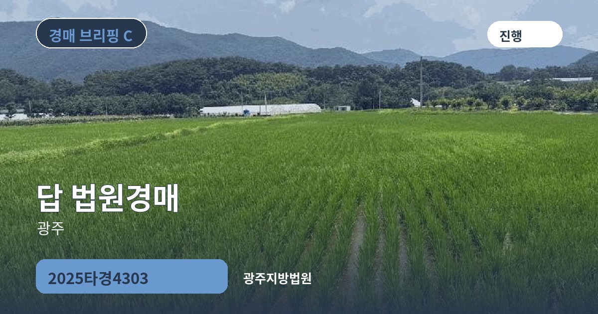 광주지방법원 2025타경4303 답 경매 대표 이미지