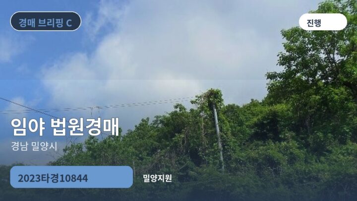 경남 밀양시 임야 법원경매 | 2023타경10844