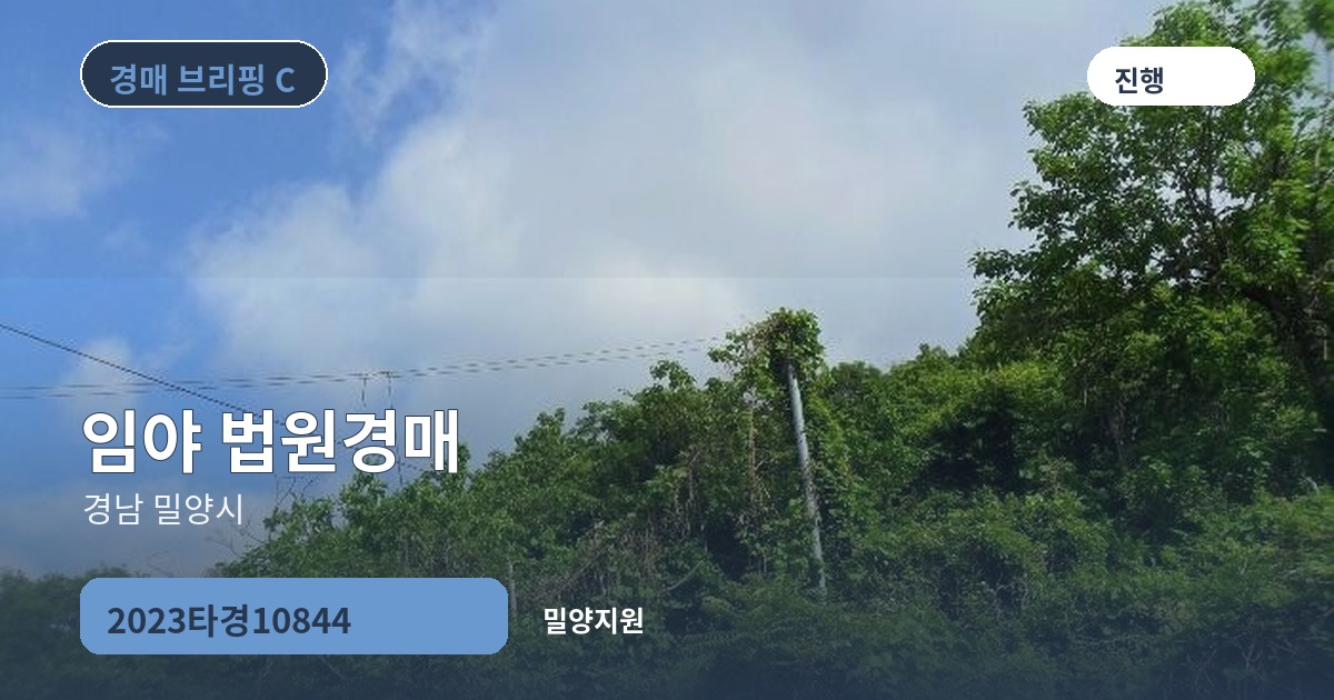 밀양지원 2023타경10844 임야 경매 대표 이미지