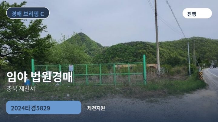충북 제천시 임야 법원경매 | 2024타경5829