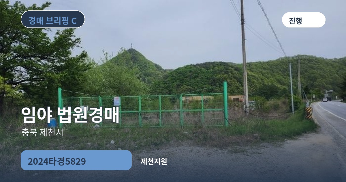 제천지원 2024타경5829 임야 경매 대표 이미지