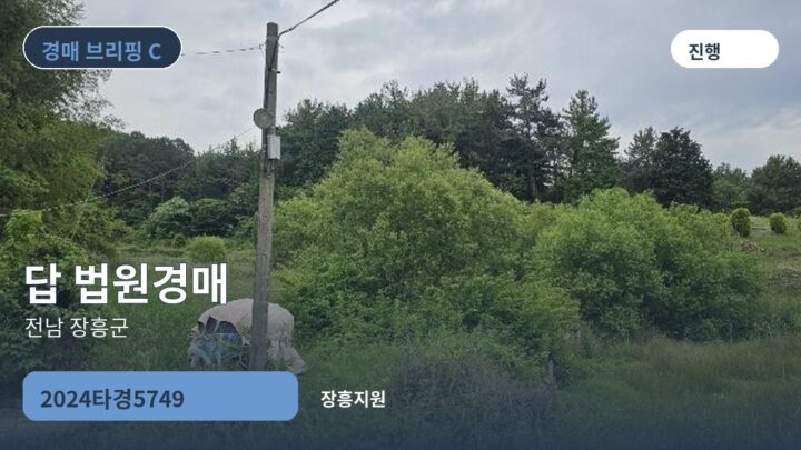 전남 장흥군 답 법원경매 | 2024타경5749