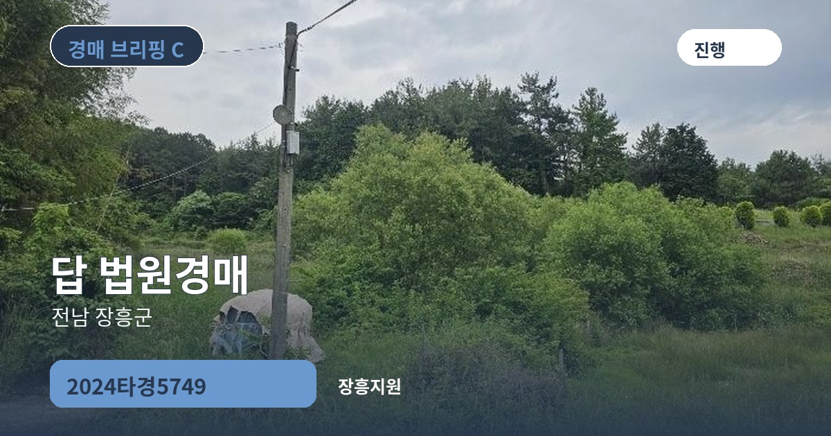 장흥지원 2024타경5749 답 경매 대표 이미지