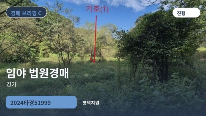 경기 임야 법원경매 | 2024타경51999