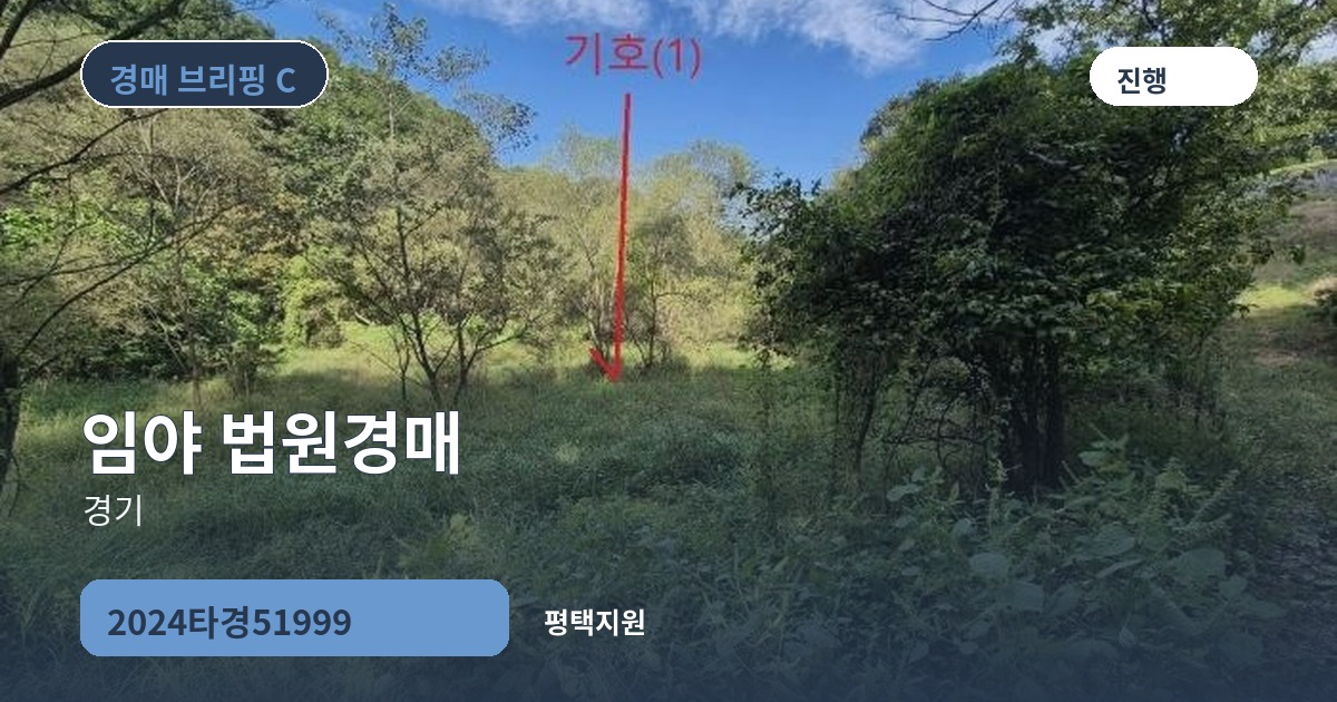평택지원 2024타경51999 임야 경매 대표 이미지