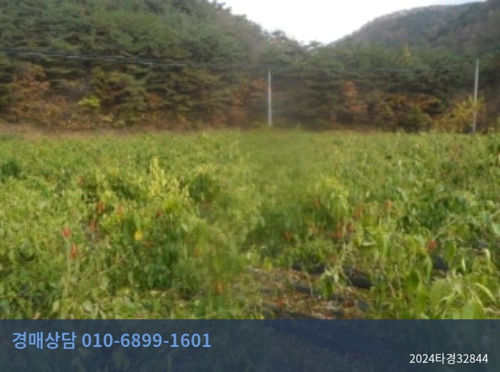 2024타경32844 전 현황 이미지 6